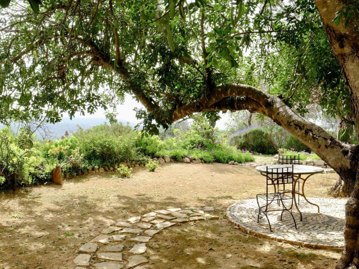Delightful Authentic Quinta With Swimming Pool Casa de Férias Loulé